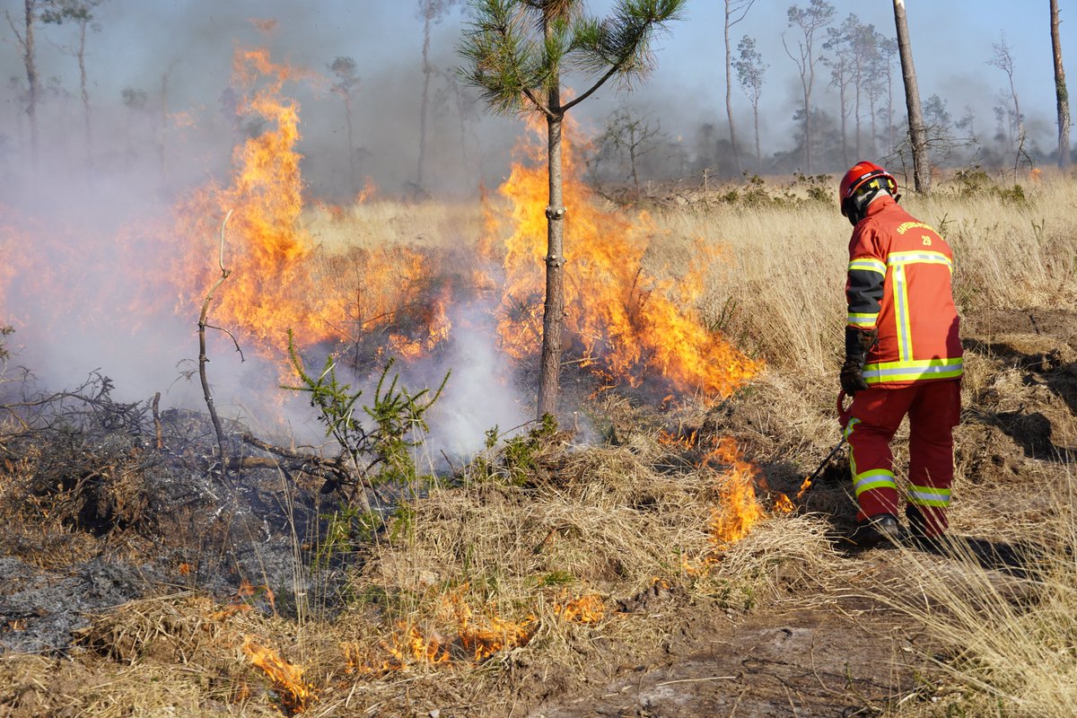 Préfet du Finistère tweet media
