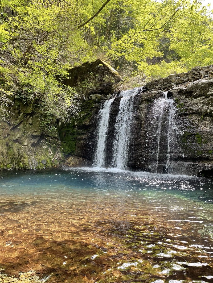 18きっぱーオカメ (@taishookameyan) / Posts / X