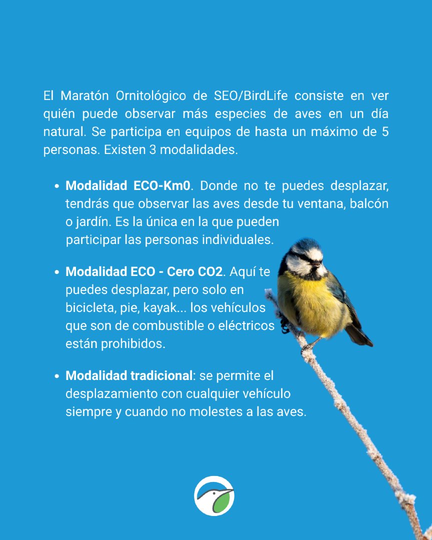 SEO/BirdLife tweet media