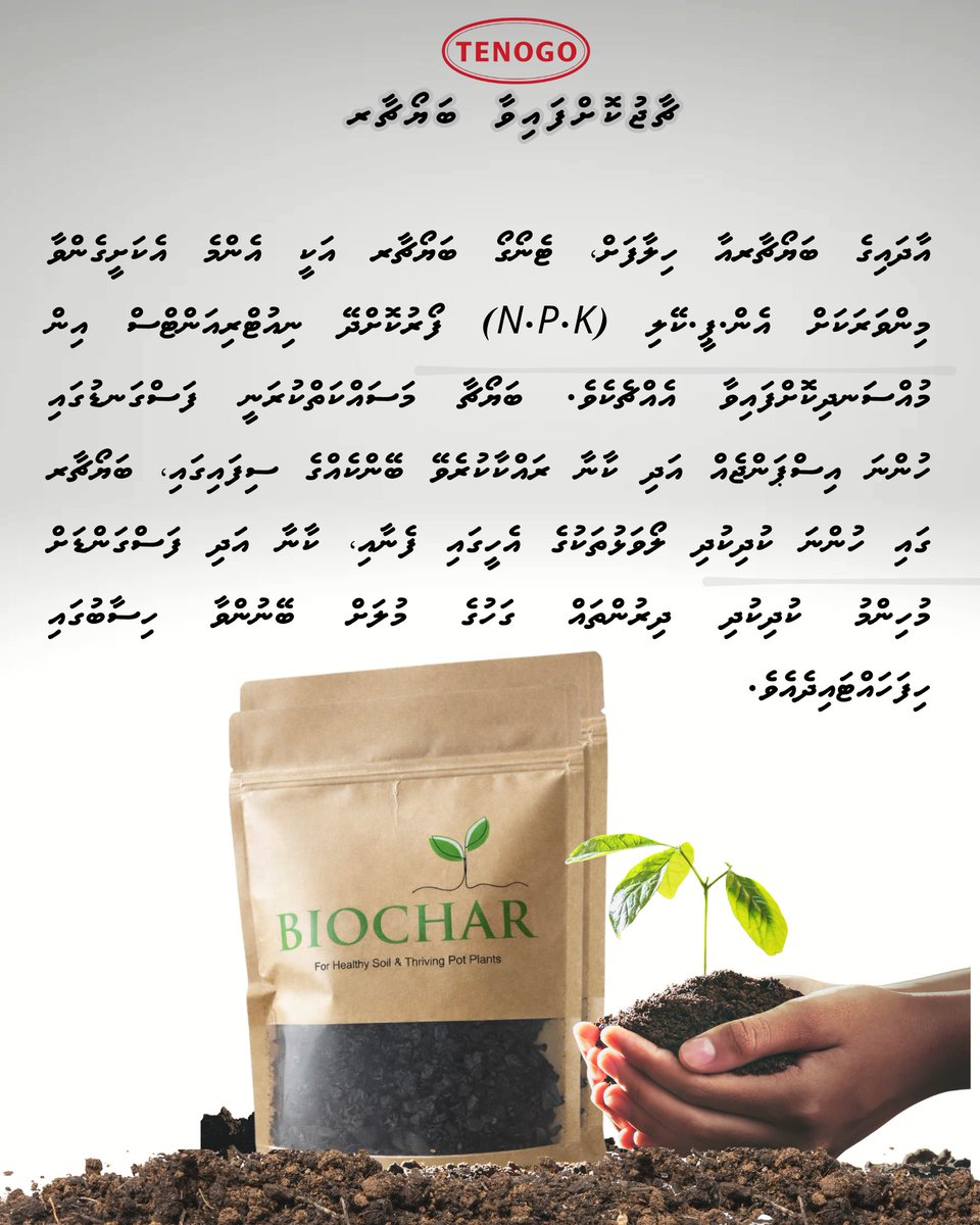 ReUse_Trade's tweet photo. ޓެނޯގޯ ބަޔޯޗާރ އަކީ އެން.ޕީ.ކޭ (N.P.K) ނިއުޓްރިއަންޓްސް އިން ޗާޖުކޮށްފައިވާ ބަޔޯޗާރ.  ☘️

ދަނޑުވެރިކަމަށް ފައިދާހުރި، ދުނިޔެއަށް ރައްކާތެރި.   

އެތައް ސަތޭކަ އަހަރަކަށް ކާބަން ރައްކާކޮށްދޭ.   

#GrowNaturally #biocharmaldives #GreenLiving #FarmSmart #madeinmaldives https://t.co/9aBkApup7V