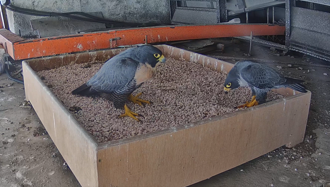 National Parks Board tweet media