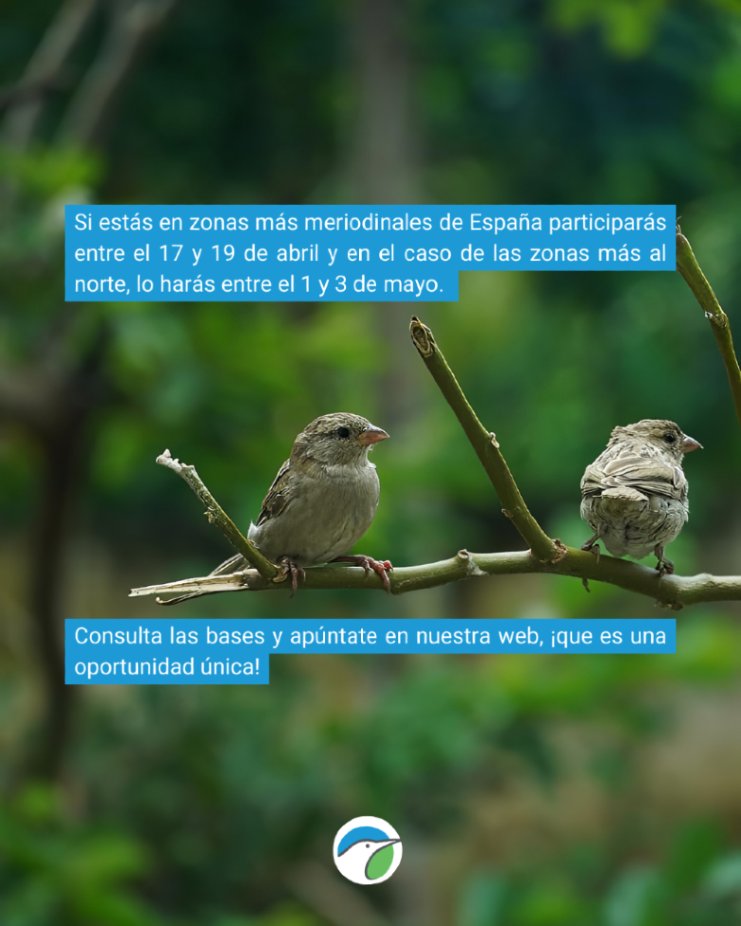 SEO/BirdLife tweet media