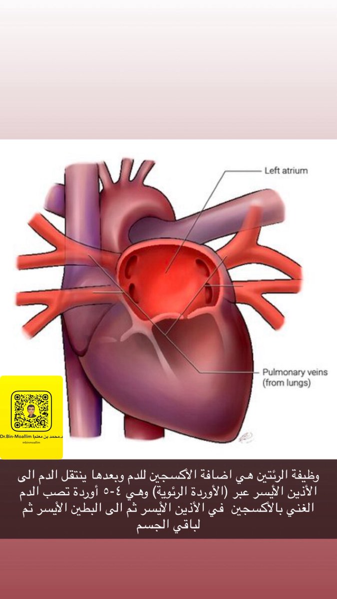 Bin-Moallim | محمد بن معلّم 🩺 tweet media