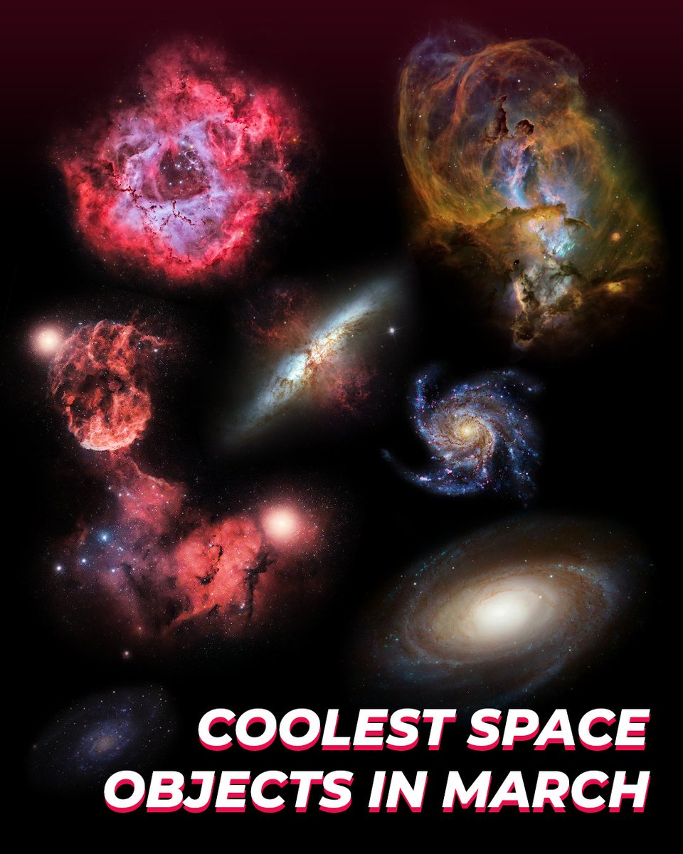 Star Walk tweet media