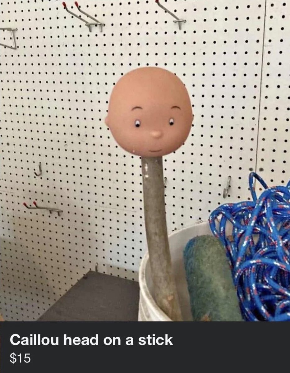 guildoessumstuff🎙 tweet media