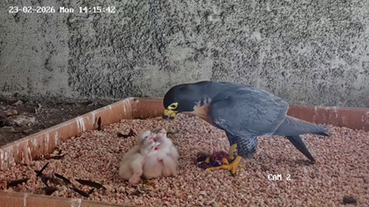 National Parks Board tweet media