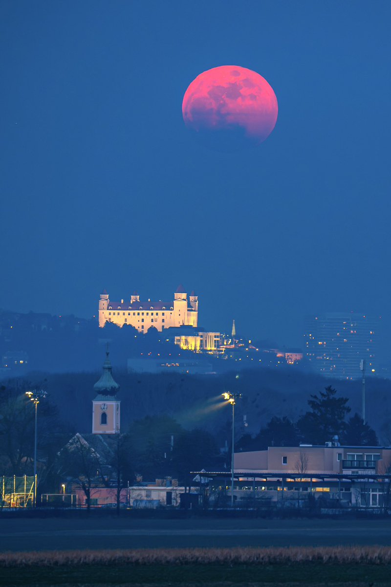 This Is Slovakia tweet media