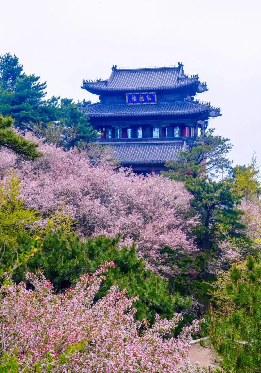 Taian of China tweet media