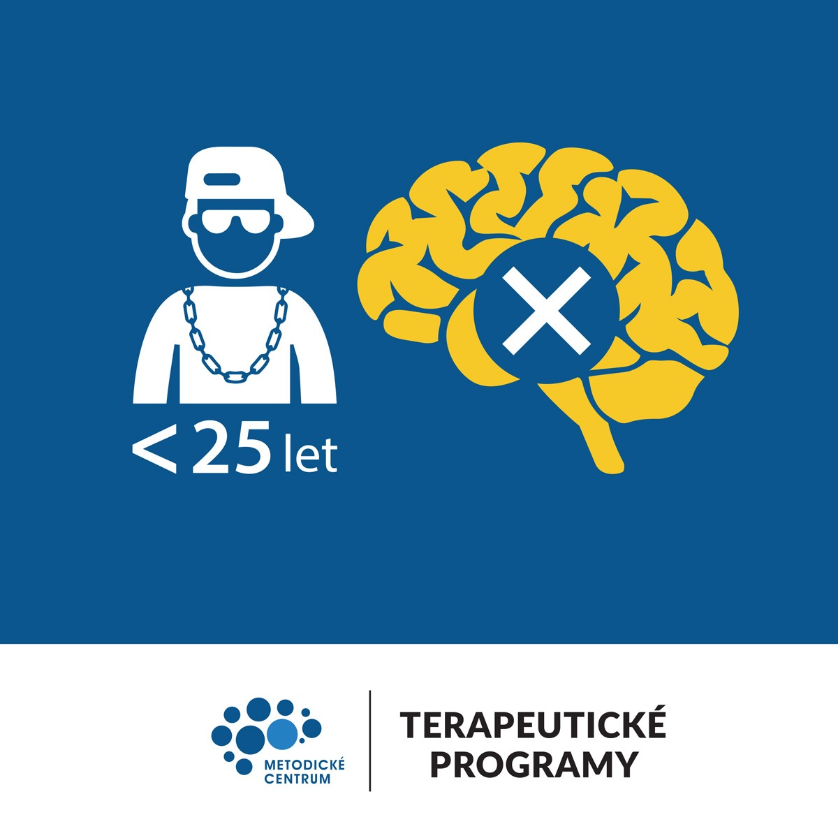 Centrum dopravního výzkumu, v. v. i. tweet media