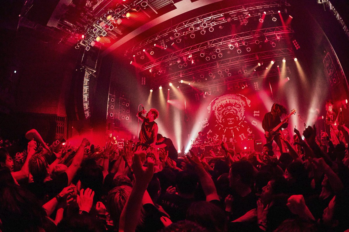 Petit Brabancon tweet media