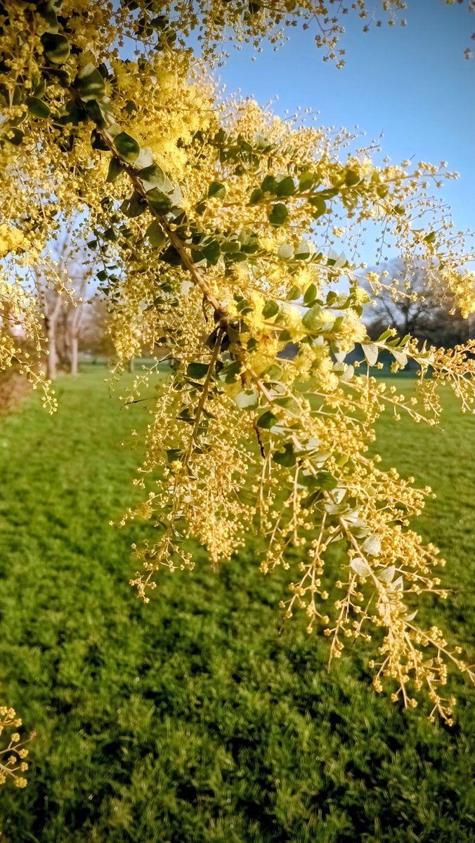 Mark Barden 🇪🇺 tweet media