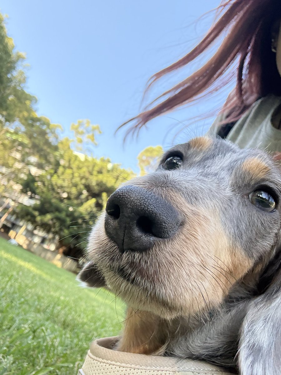 不许熬夜 tweet media