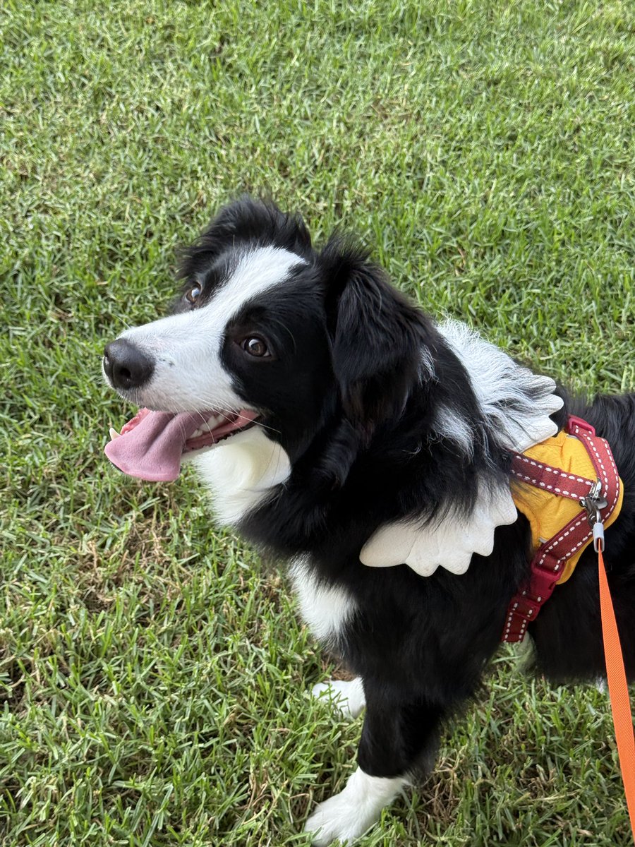 不许熬夜 tweet media