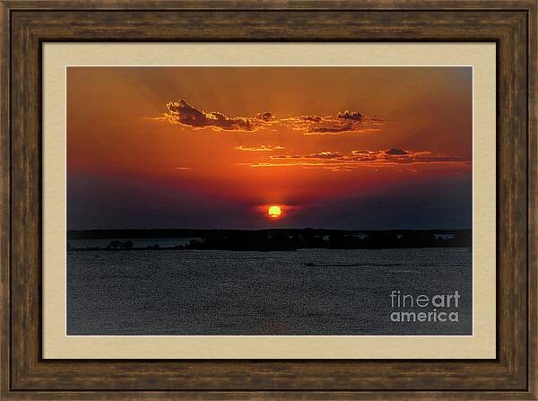 DMSharptonArt tweet media