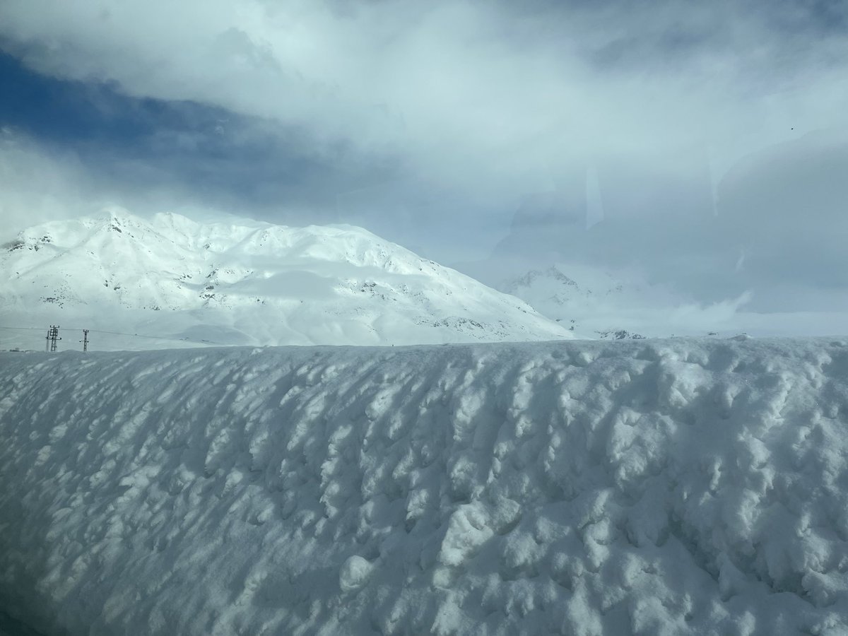 Cemal Şan tweet media