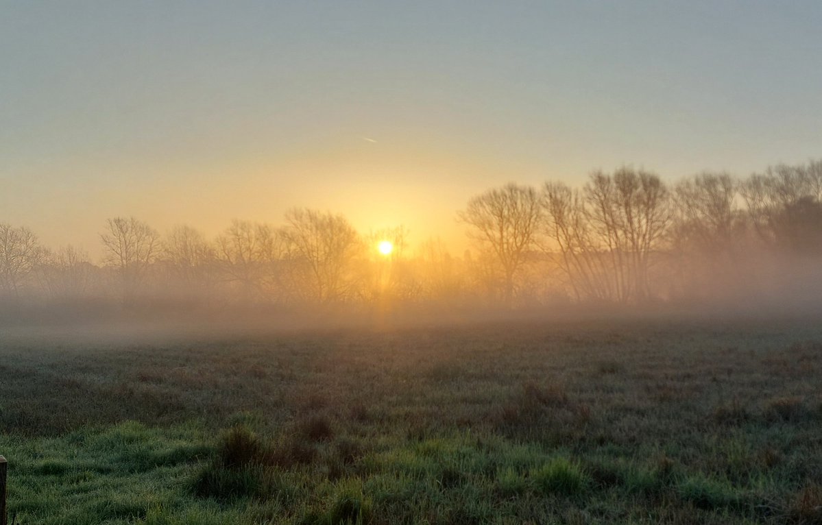 Luke O'Byrne tweet media