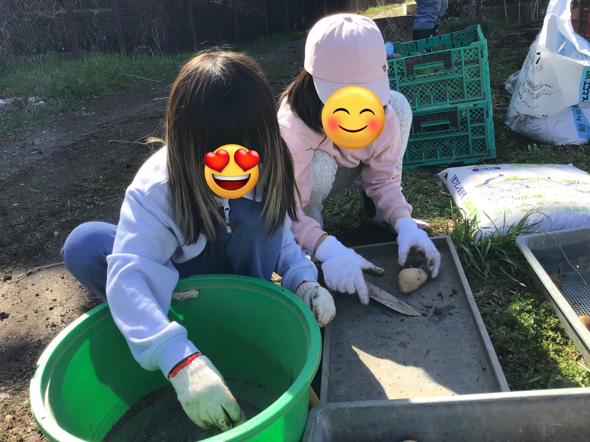 sachistation's tweet photo. 今日は、3月恒例ジャガイモ植え🥔

一昨日の雨がひびいて
正直土は重たかった💦

でも、お天気はサイコー☀️

みんなで、最後のブロッコリー収穫
ジャガイモ畑に肥料をまいて
種芋植えましたよ

収穫が楽しみだなぁ
そしてまた新しい一年が始まるなぁ

また今年も、さつまいもに里芋、育てるぞー https://t.co/59Ntl9nnXc