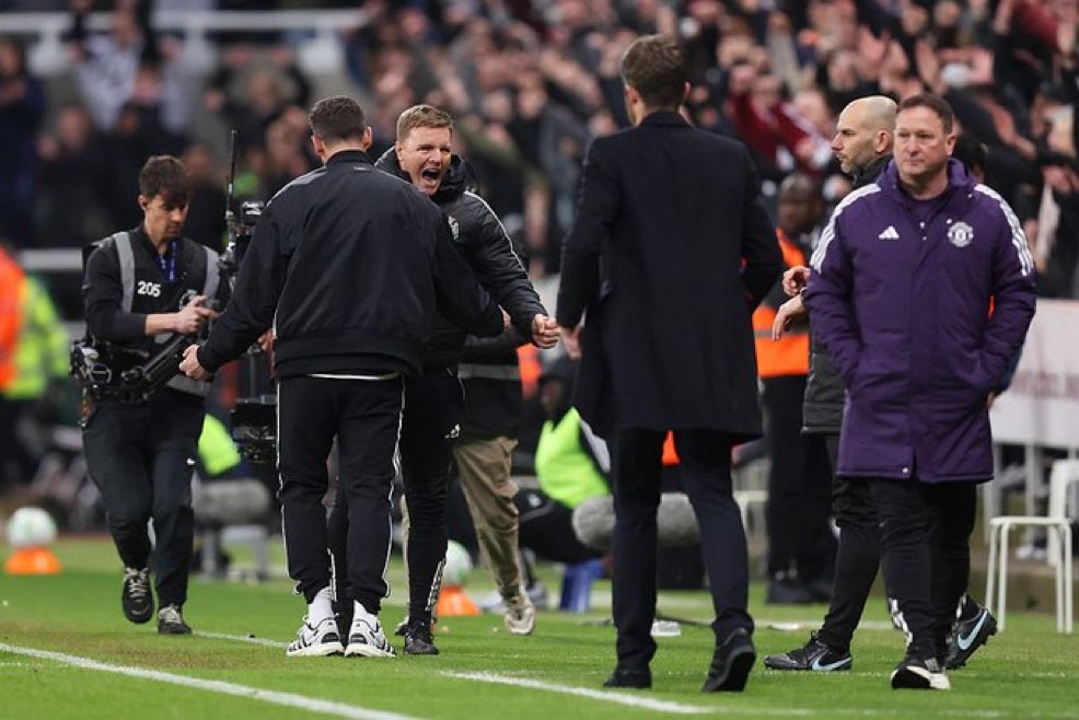 Toon Polls tweet media