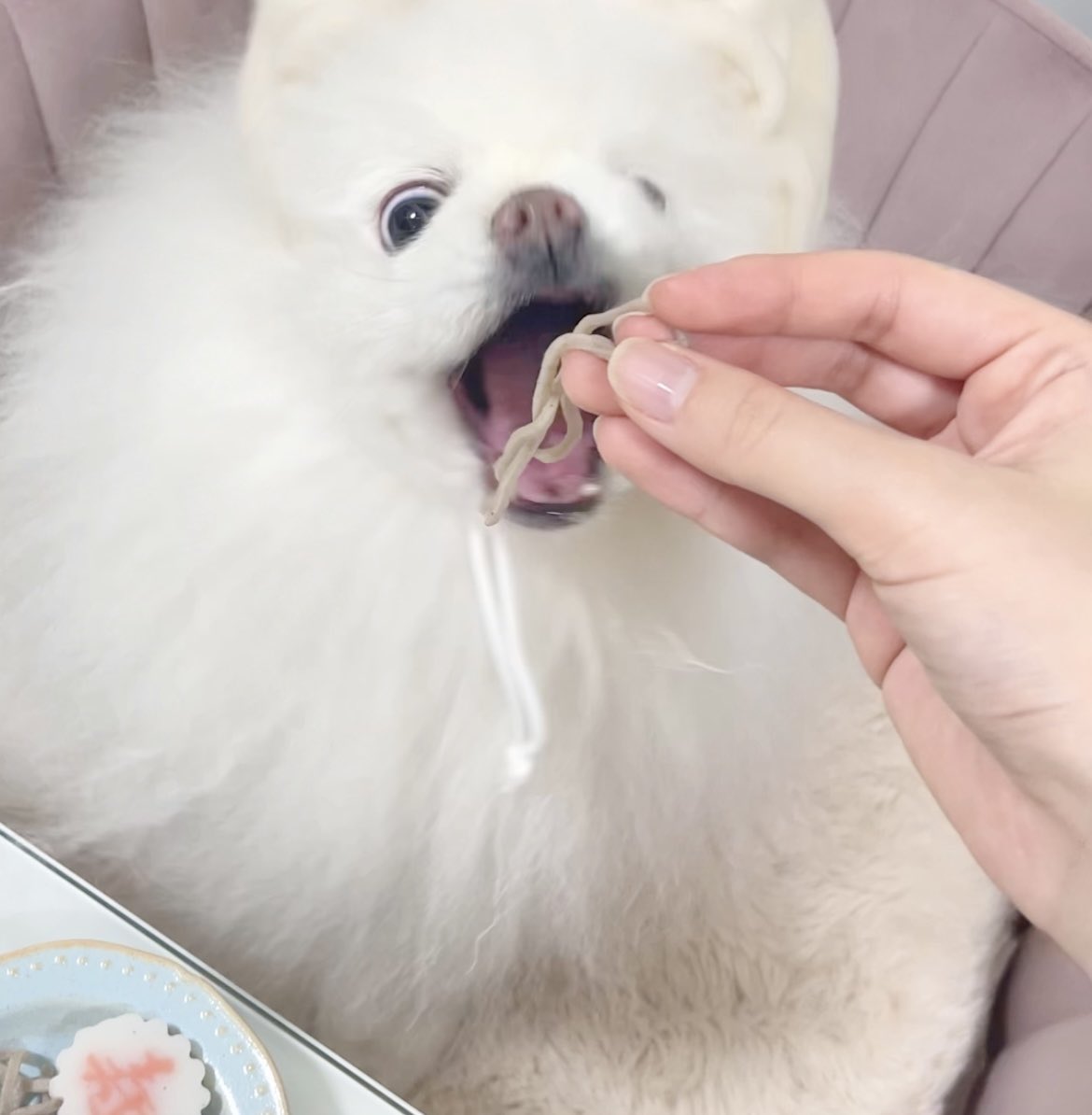 ゆるせ tweet media