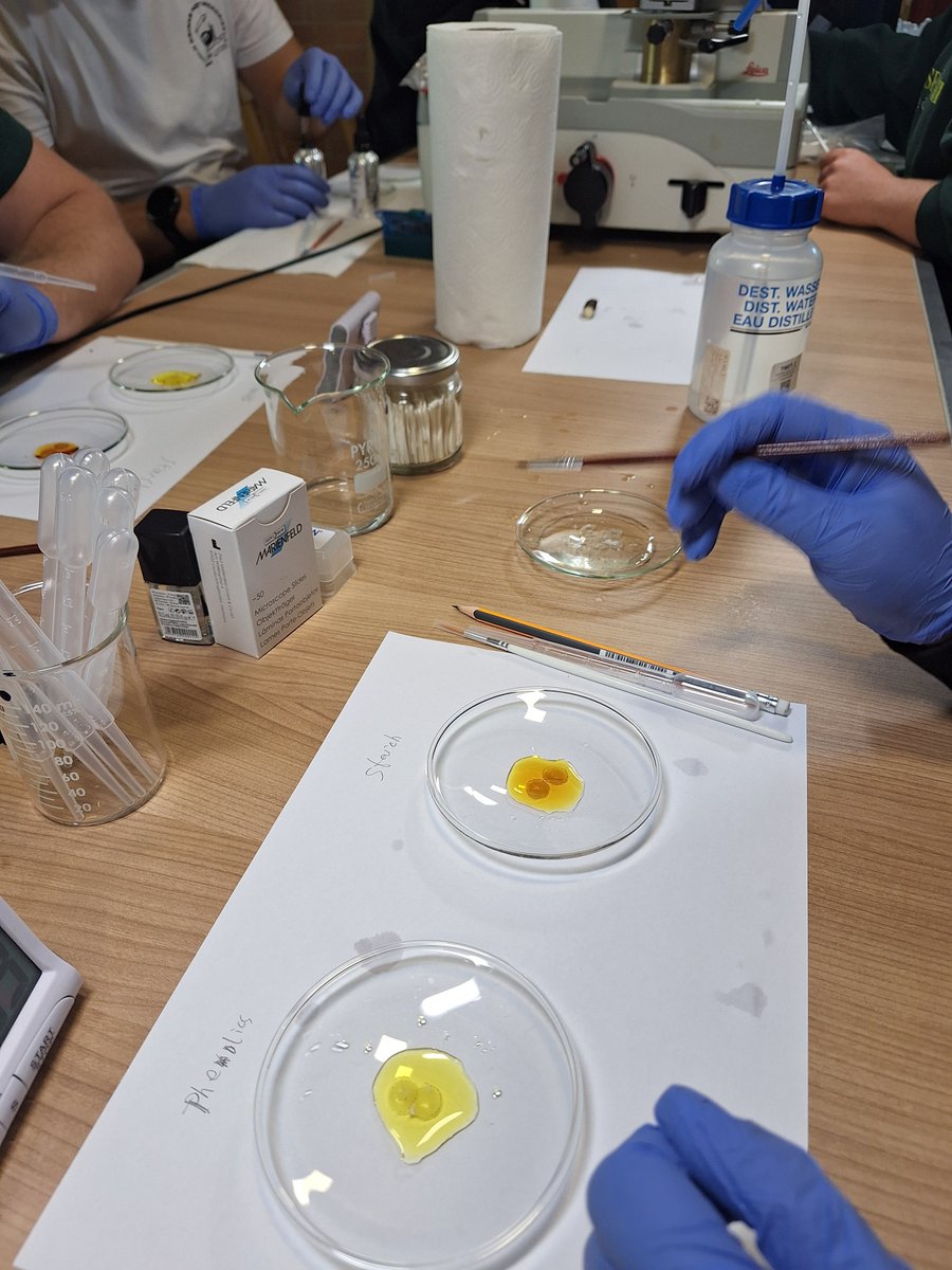 Go Belowground! tweet media