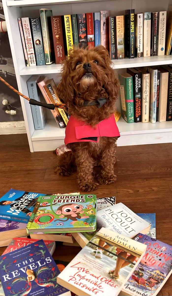 Red Funnel (IoW Ferries) tweet media