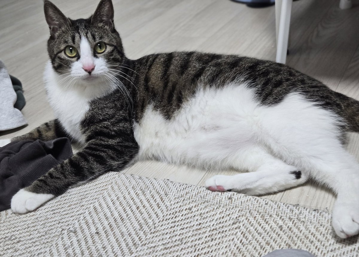 발바닥이랑 배도 빨개짐 ㅋㅋㅋㅋㅋ