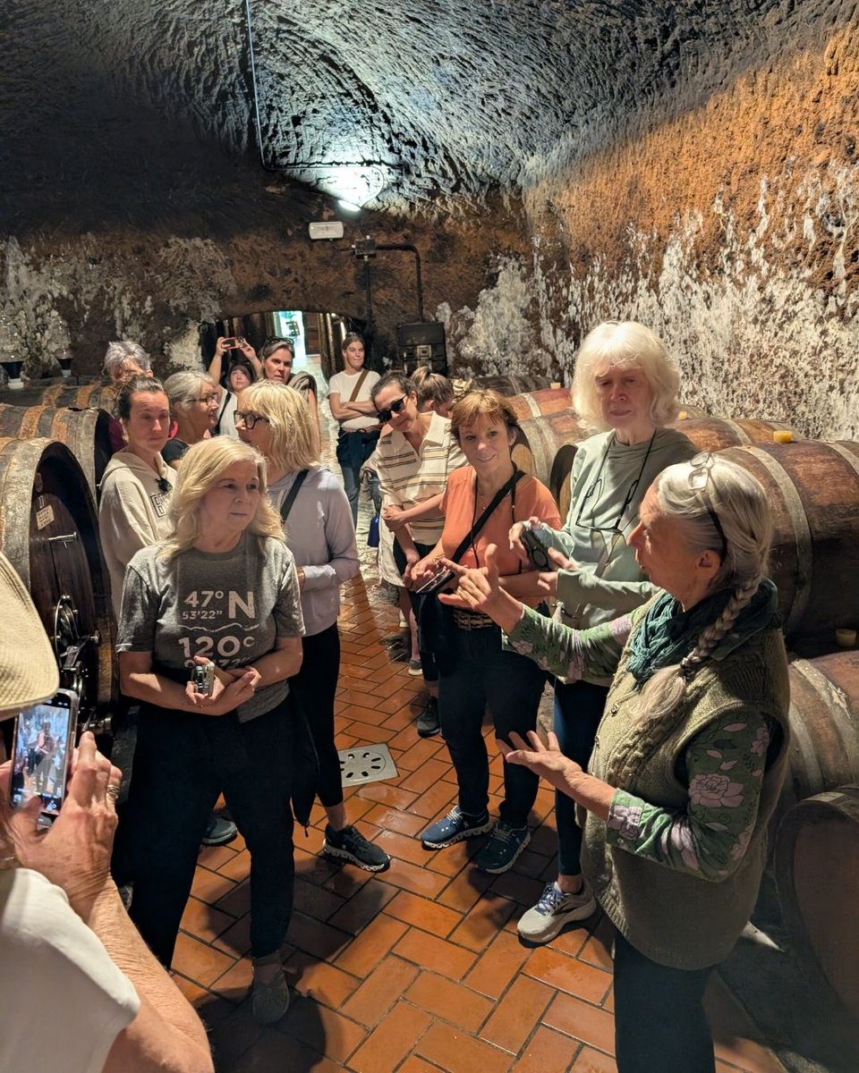 Sip Magazine tweet media