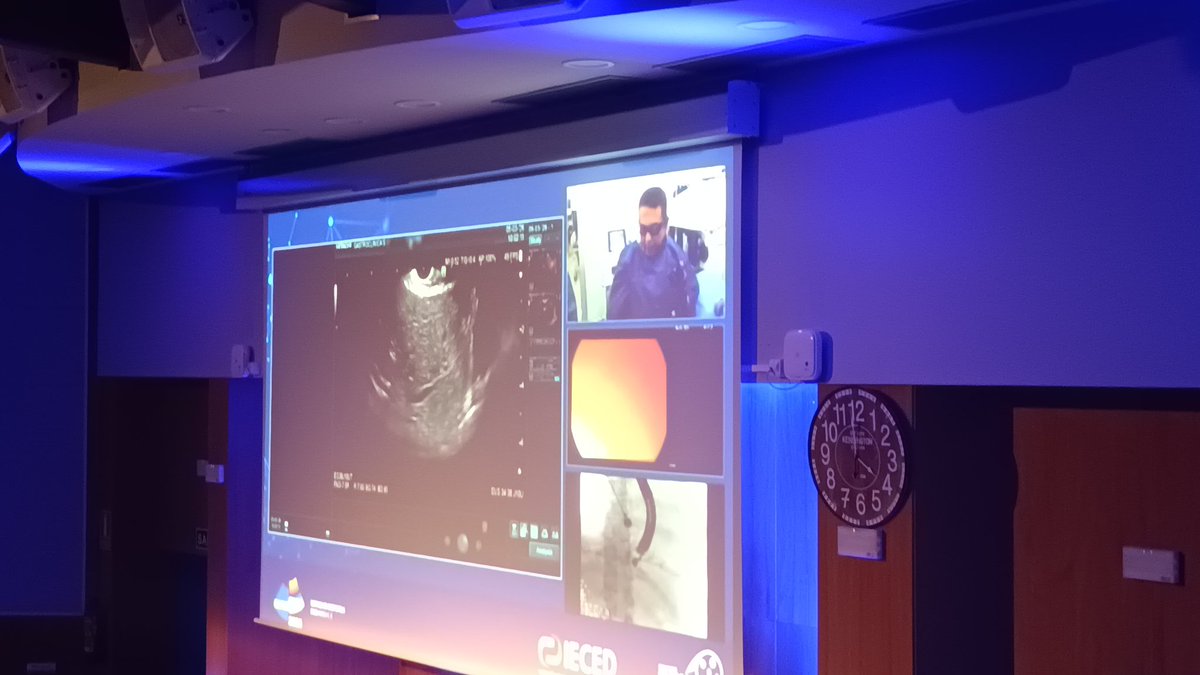 Gastro SANTIAGO tweet media