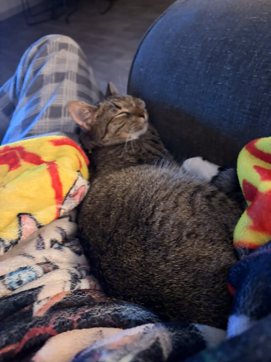 Nas (Hiatus) tweet media