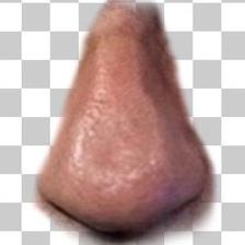 Joseph Stalkin' tweet media