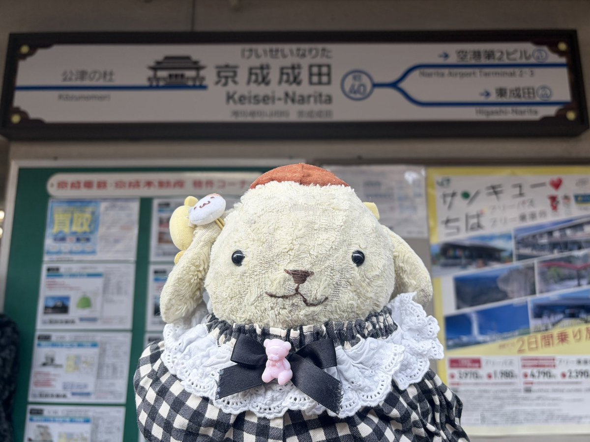 U・ω・Ｕ『プリン、なりたきたプリーーーっ‼️‼️‼️』
#成田
#京成成田