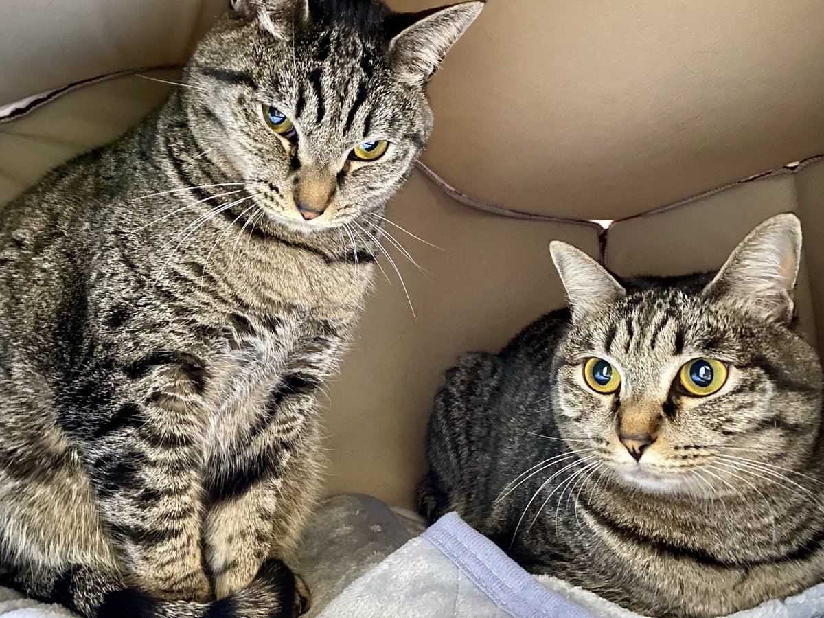 一生カメラ嫌いかもしれないねぇ😌