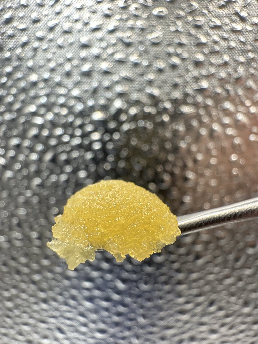 Well Fed Wolf LLC tweet media