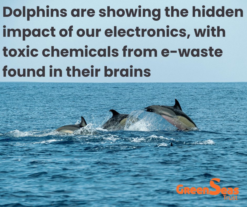 GreenSeas Trust tweet media