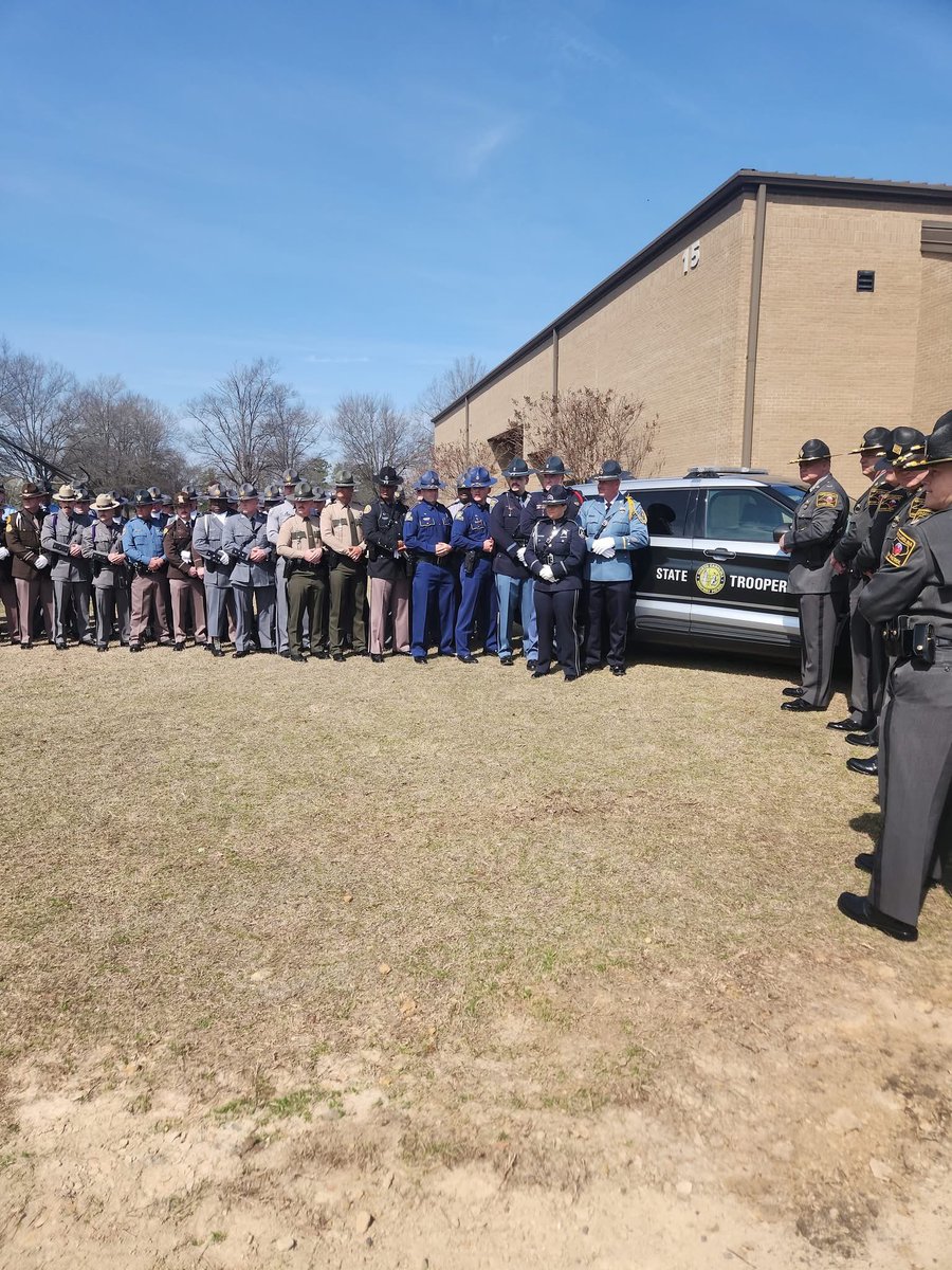 THPFallBranch tweet media