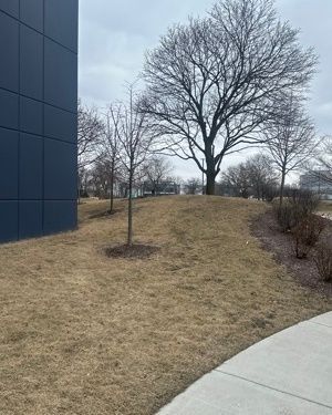 MokenaLotClean's tweet photo. Take exterior maintenance off your plate.
Free estimate — call (815) 245-4175 or visit our website today.
#curbappeal #parkinglotmaintenance #walkwaymaintenance #sidewalksweeping #propertyupkeep #groundsmaintenance #propertymanagementservices #littercleanup #portering #outdoormaintenance