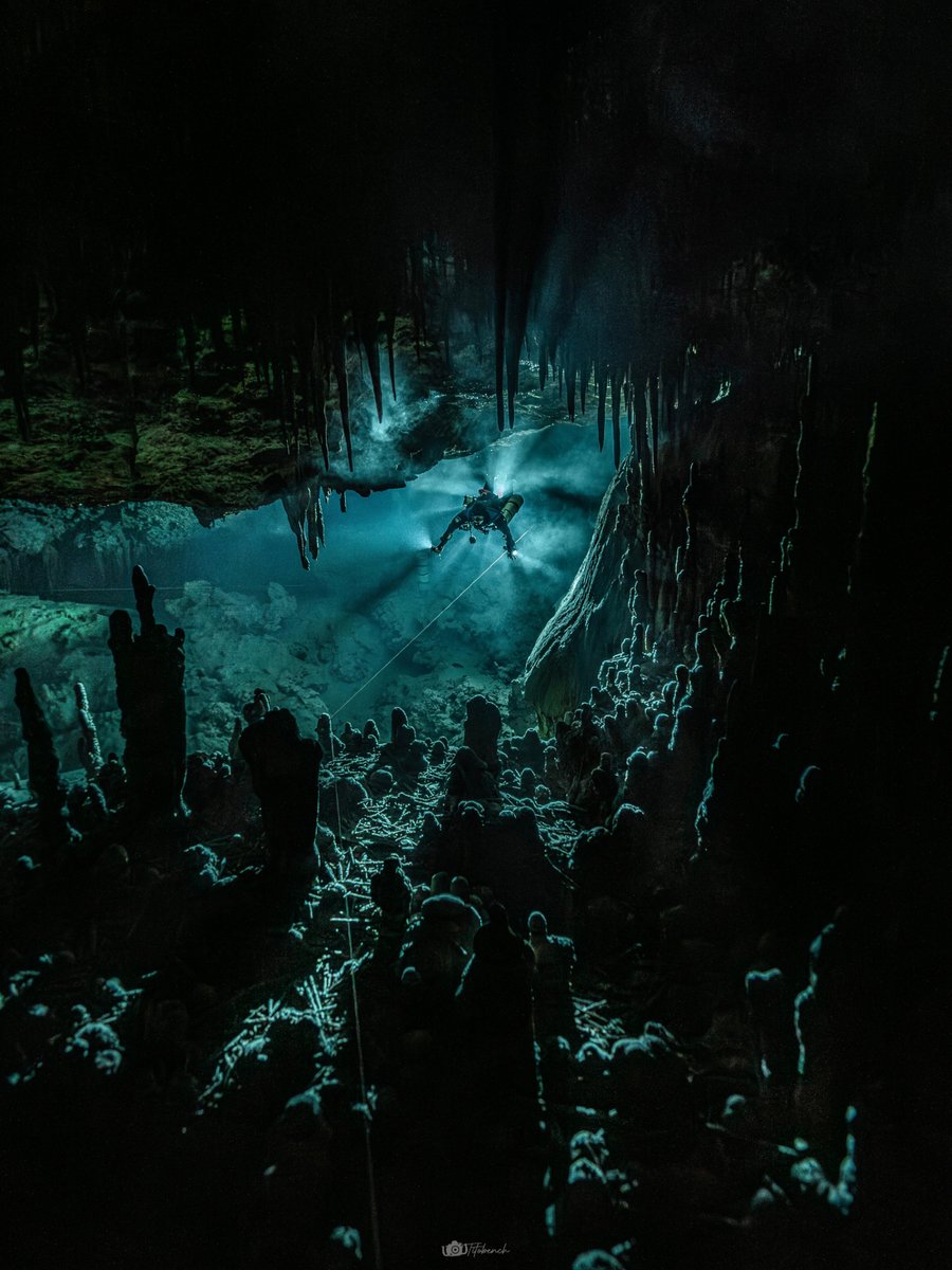 InDEPTH Magazine tweet media