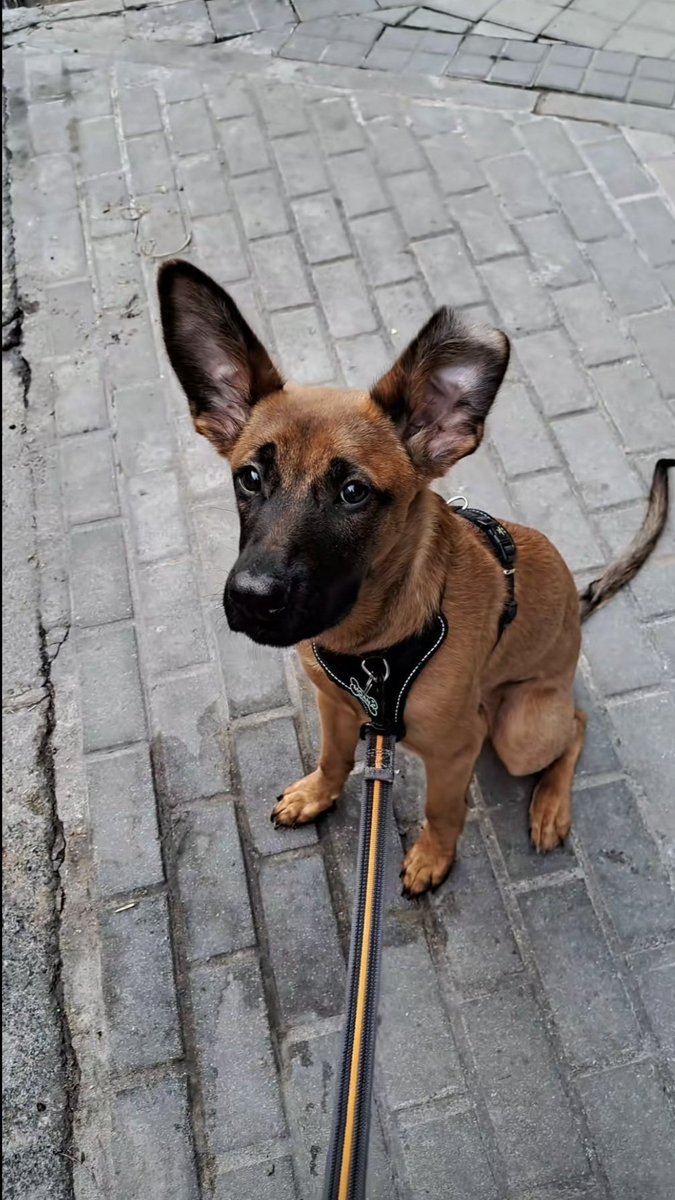 De Sevilla al cielo..... tweet media