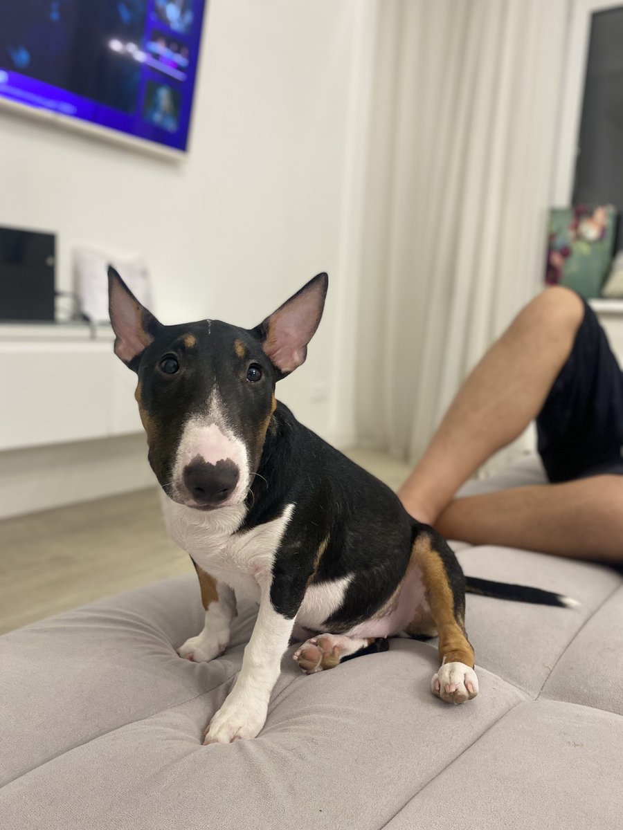 Ну такая Руна уже большая 🥲