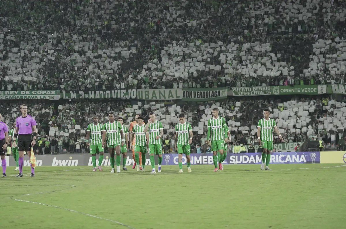 Tribu Verdolaga tweet media