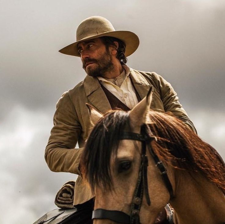 acervo brokeback mountain tweet media