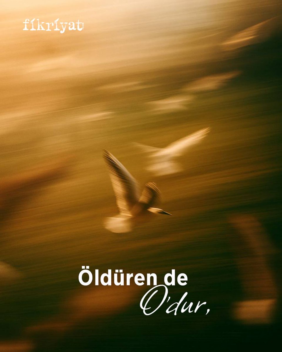fikriyatcom's tweet photo. “Güldüren de O’dur, ağlatan da.
Öldüren de O’dur, yaşatan da.”

Necm Suresi 43, 44 ✨ https://t.co/HAM5Z8wcWA