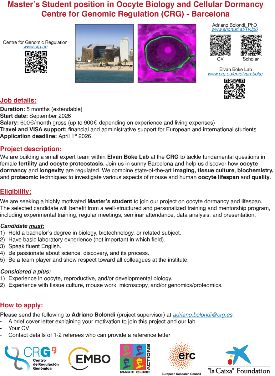 Adriano Bolondi, PhD tweet media