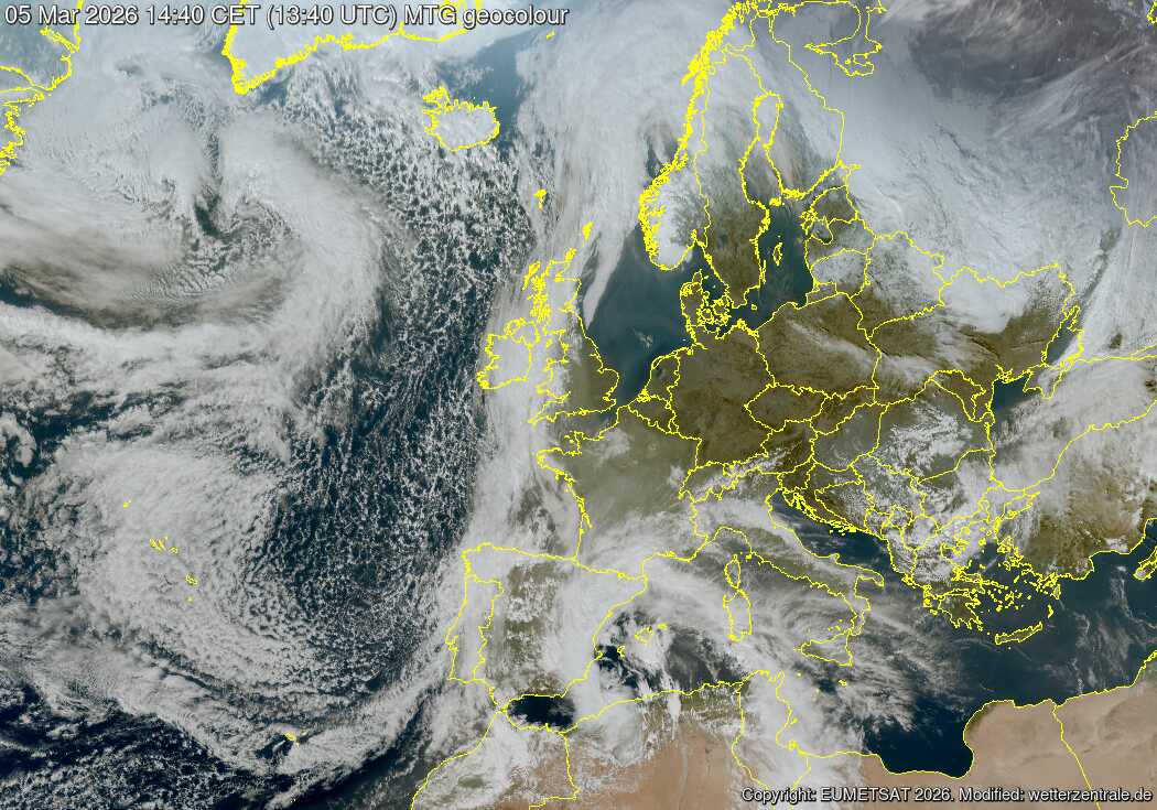 Marco M.M. tweet media