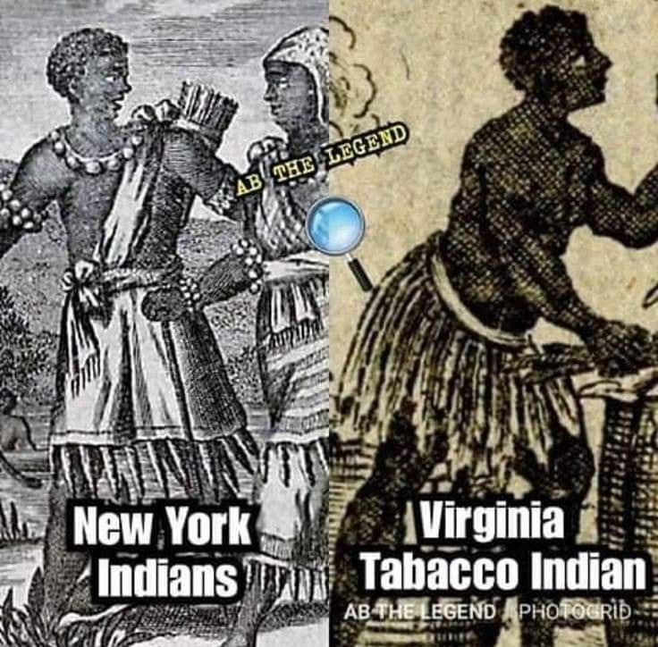 Darvid 🐢🪶🏹 tweet media