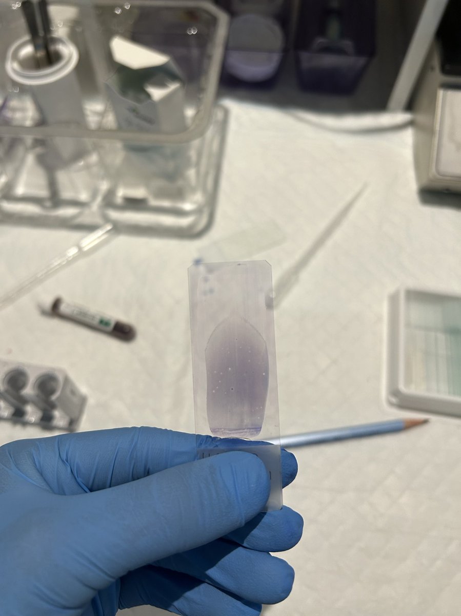 نـواف tweet media