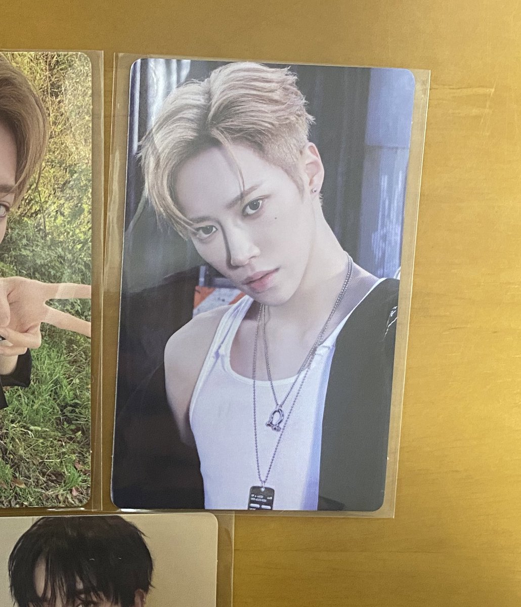 🐶🐱 tweet media