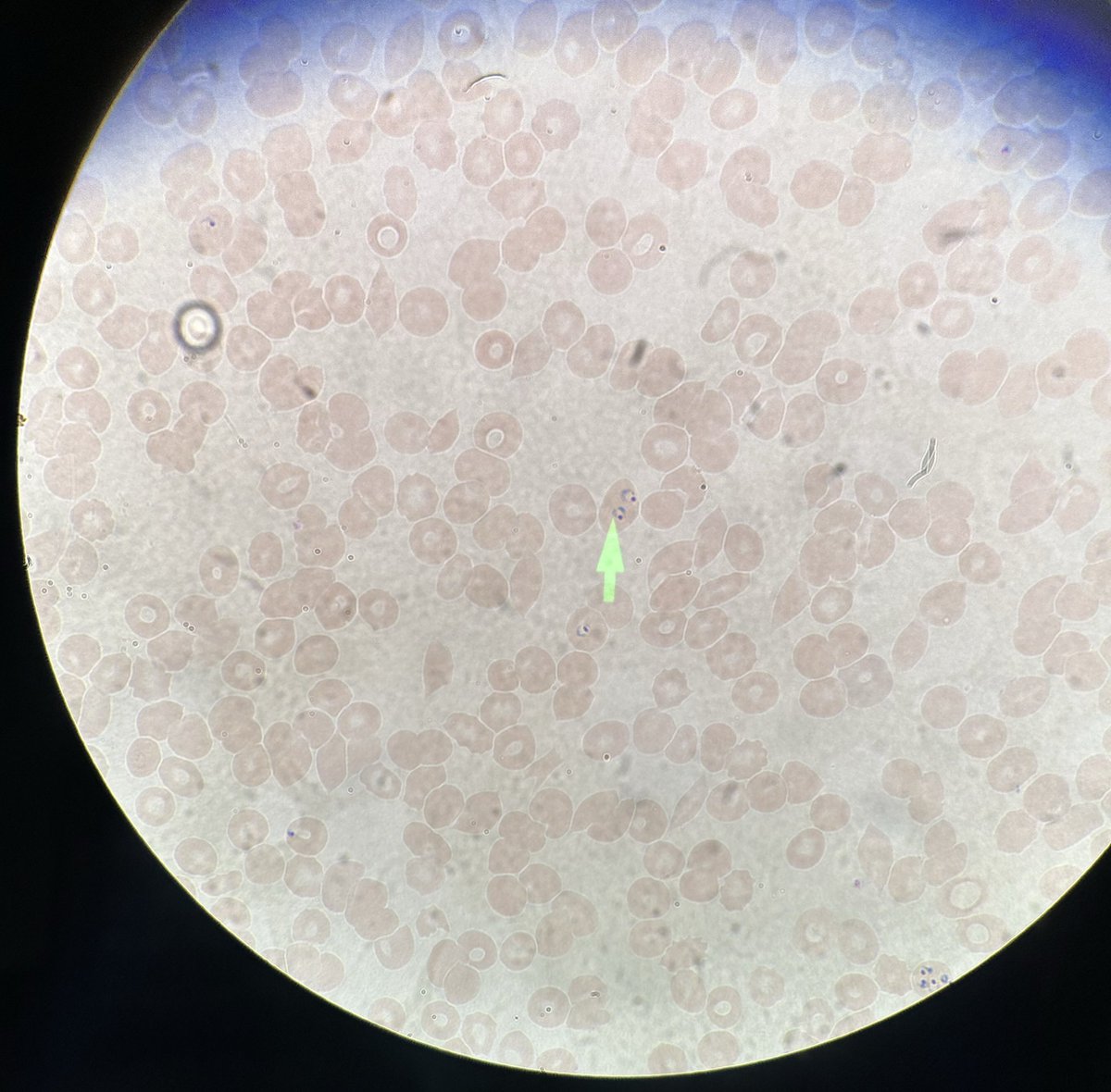 نـواف tweet media