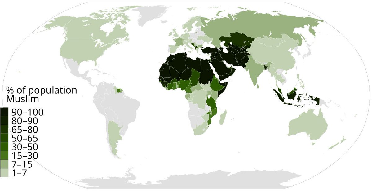 al_Samancii's tweet photo. Sunnis spread Islam to:
  
- Arabian Peninsula
- Iraq
- Syria
- Palestine
- Turkey
- Africa
- Iran
- Pakistan
- India
- Europe
- South East Asia

Etc.  

Shia spread Islam to:  
- Nowhere.  

All Shia did was kill Sunnis in those lands, and spread paganism via genocide of Sunnis. https://t.co/6acx7dH1SC