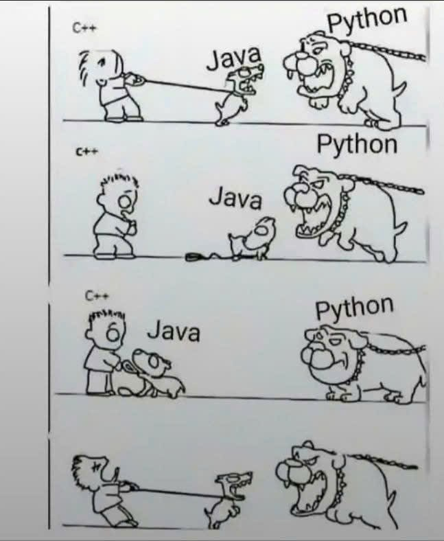 Python Developer tweet media